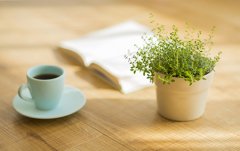 诱发乐趣和丰硕的想象